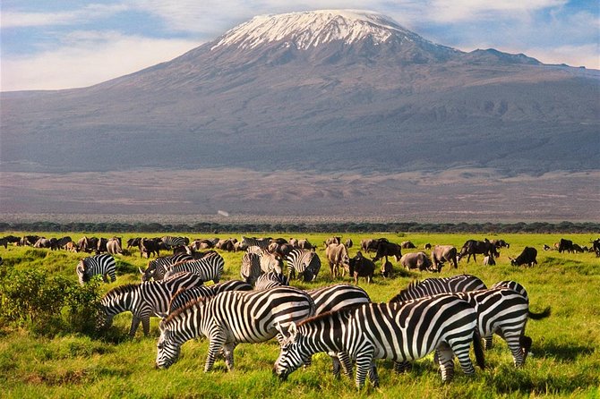 Amboseli Park & Kilimanjaro Views Day Tour - Recap