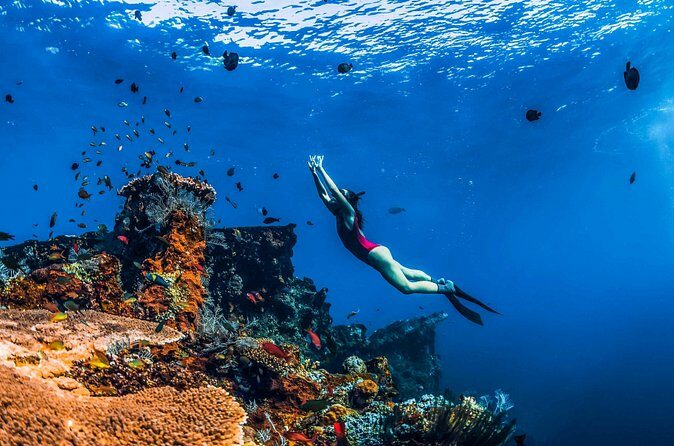 Amed Bali Snorkelling: Japanese Shipwreck & Vienna Beach Tour - What Travelers Say