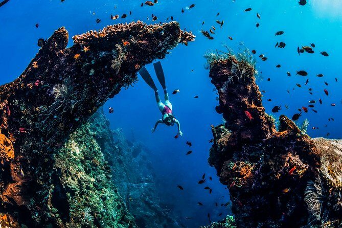 Amed Bali Snorkelling: Japanese Shipwreck & Vienna Beach Tour - Who Should Consider This Tour?
