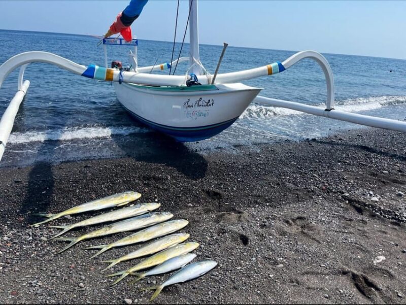 Amed: Fishing Trip - Hook a Mahi-Mahi, Tuna, GT or Wahoo! - Key Points