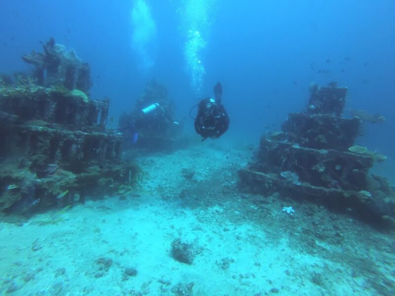 Amed: Guided Scuba Dive for Beginners/Non Certified Divers - Booking and Cancellation Policy