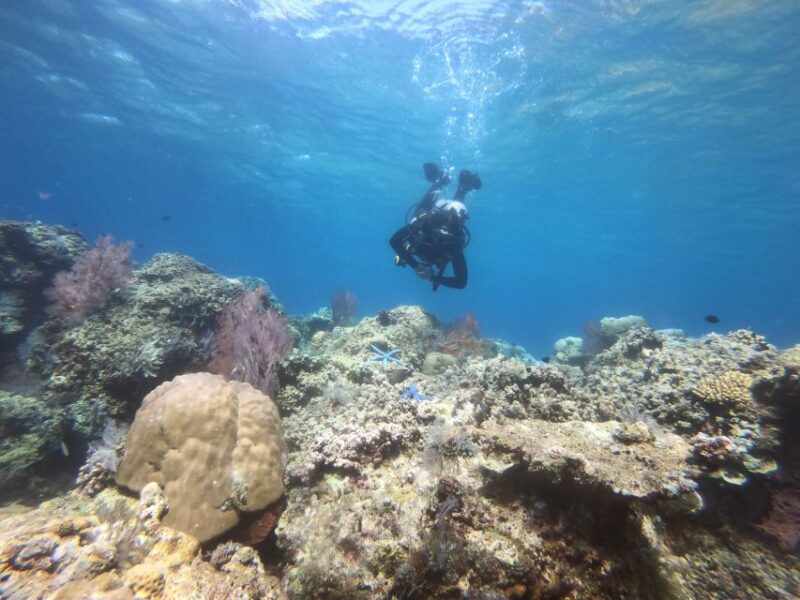 Amed: Guided Scuba Dive for Beginners/Non Certified Divers - Inclusions and Experience Details