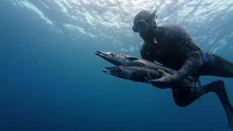 Amed: Spearfishing, Freediving and Catch & Cook Adventure - An In-Depth Look at the Tour Experience