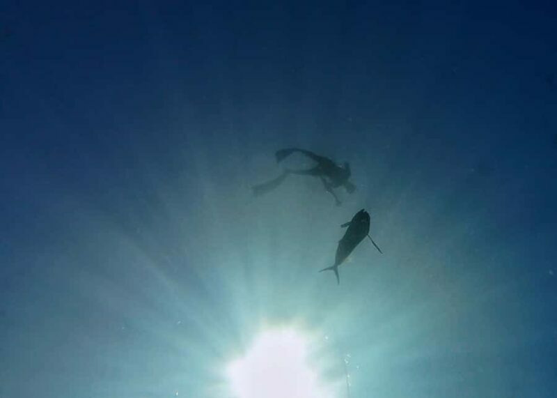 Amed: Spearfishing, Freediving and Catch & Cook Adventure - The Sum Up