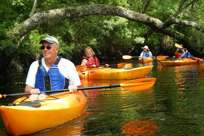 Amelia Island Area Kayak Rental on Lofton Creek With Adventures up the Creek - Sheltered From Wind for Beginners
