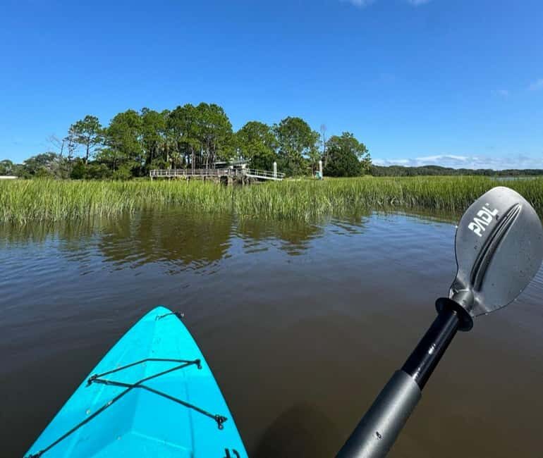 Amelia Island: Paddle Board or Kayak Rental - PADL Island - Why Choose This Salt Marsh Adventure?
