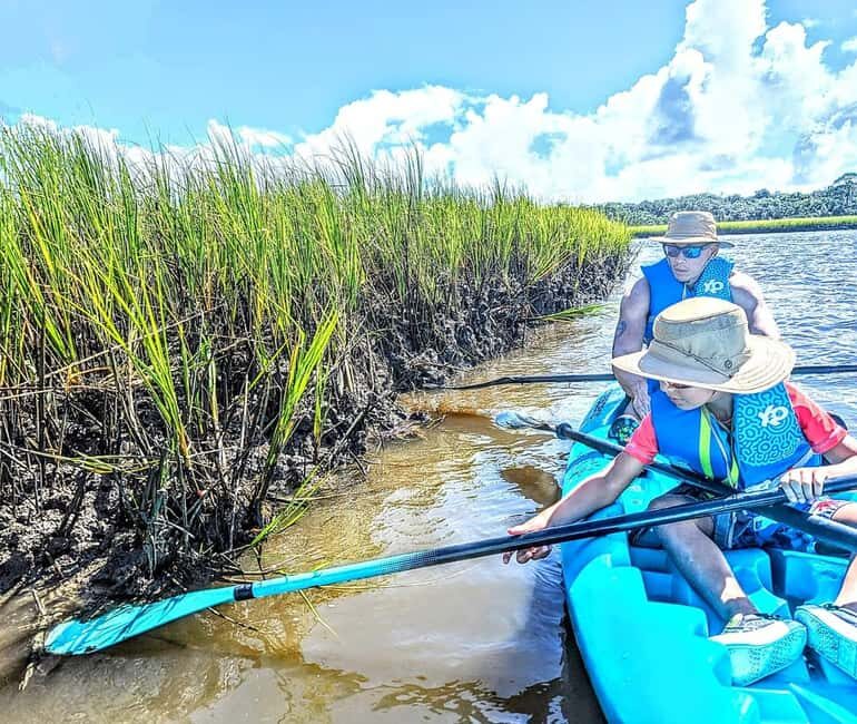 Amelia Island: Paddle Board or Kayak Rental - PADL Island - Who Is This Tour For?
