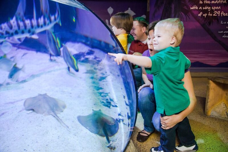 American Dream: SEA LIFE® Aquarium Entry Ticket - Visitor Information and Support
