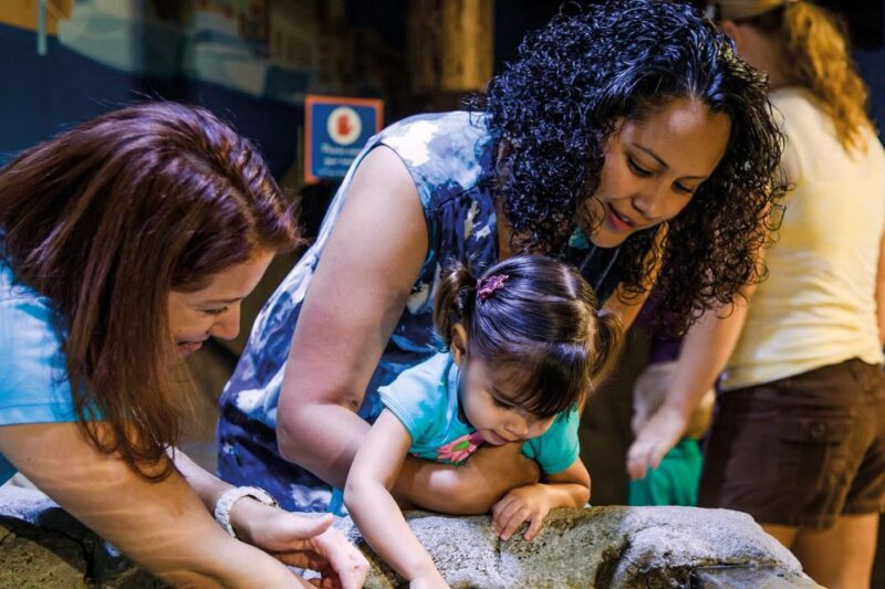 American Dream: SEA LIFE® Aquarium Entry Ticket - Customer Reviews and Ratings