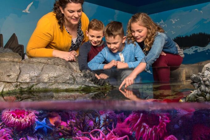 American Dream: SEA LIFE® Aquarium Entry Ticket - Frequently Asked Questions