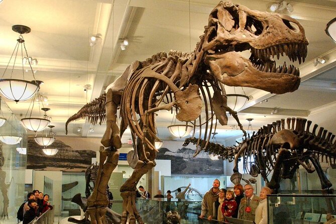 American Museum of Natural History Admission Ticket - Highlights of the Exhibits