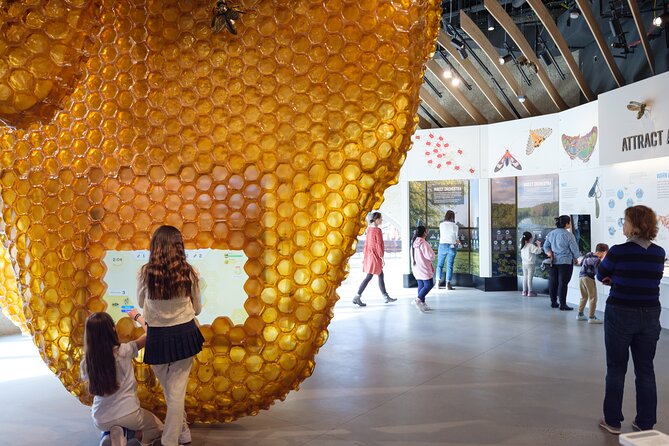 American Museum of Natural History Admission Ticket - Accessibility and Accommodations