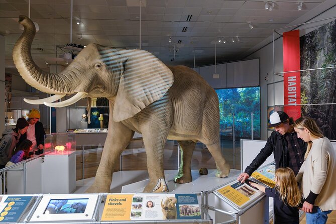 American Museum of Natural History Admission Ticket - Visitor Information and Policies