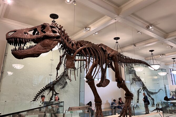 American Museum of Natural History and MOMA Combo Tickets - Visitor Reviews and Experiences