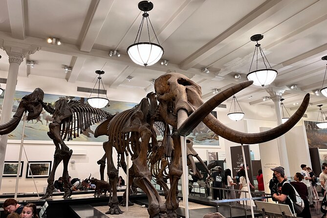 American Museum of Natural History and MOMA Combo Tickets - Frequently Asked Questions