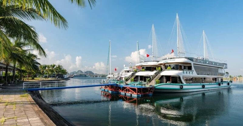 Amethyst Luxury Day Cruise- Explore Halong Bay/ Caves, Kayak - Key Points
