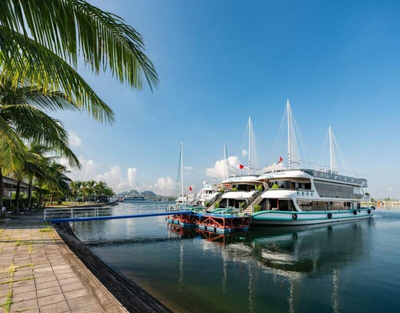 Amethyst Luxury Day Cruise- Explore Halong Bay/ Caves, Kayak - Itinerary Highlights