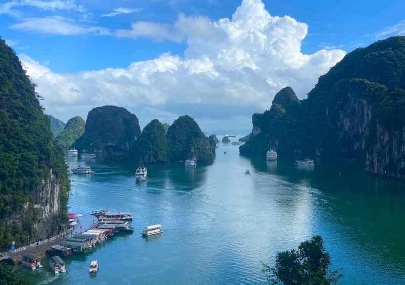 Amethyst Luxury Day Cruise- Explore Halong Bay/ Caves, Kayak - Detailed Schedule