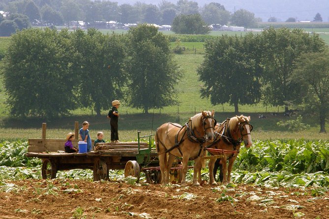Amish Experience SuperSaver Package - Highlights of the Tour