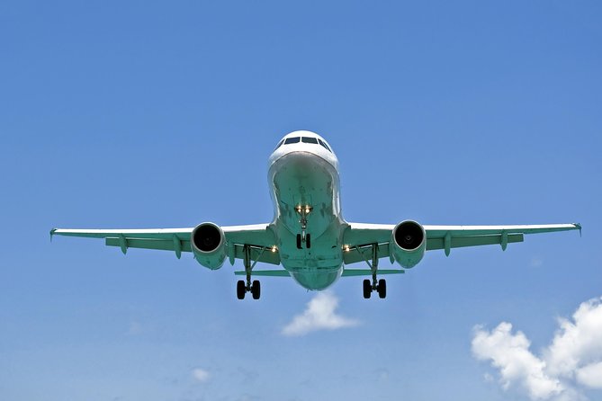 Amman Airport Transfer to Any Amman Hotel - Pickup Location and Timing