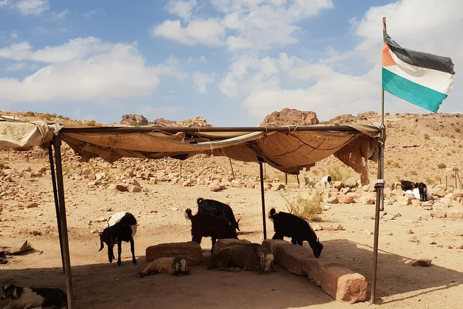 Amman and Aqaba Airport Lift to Petra and Wadi Rum - Booking Information