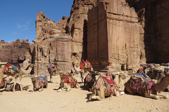 Amman to Petra Round Trip - Transportation and Amenities