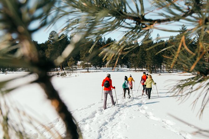 Amole Canyon Snowshoe Tour - Meeting Point and Departure