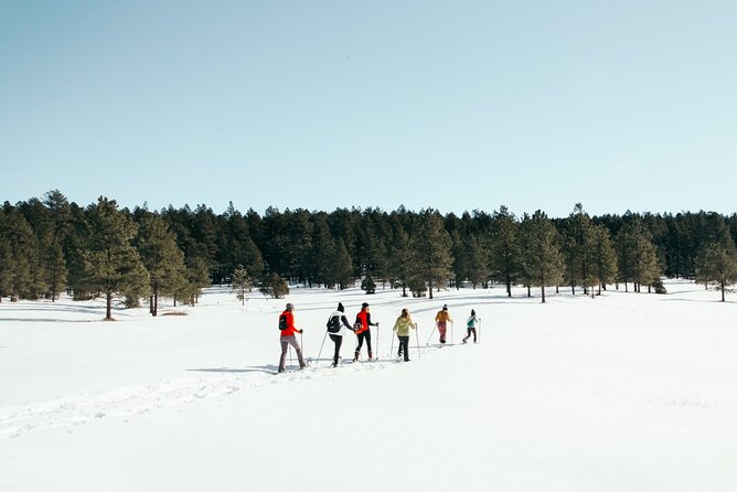 Amole Canyon Snowshoe Tour - Dietary Considerations