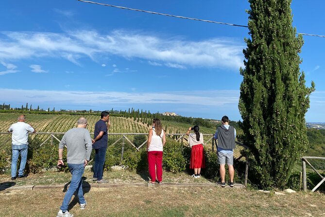 Among Ancient Sunny Vineyards, Visit and Taste the Wines From the San Lorenzo Cellar - Highlights of the Wine Tasting Experience