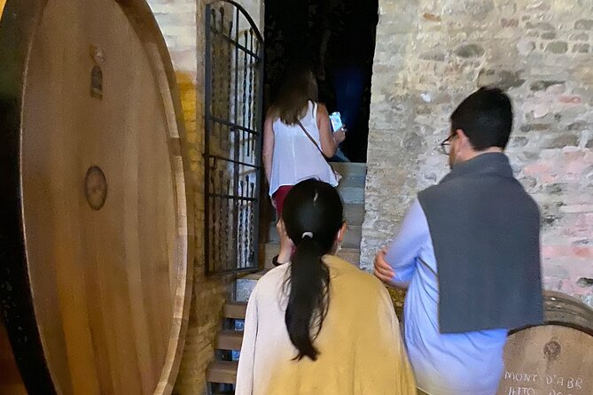Among Ancient Sunny Vineyards, Visit and Taste the Wines From the San Lorenzo Cellar - The Meeting Point and Tour Route
