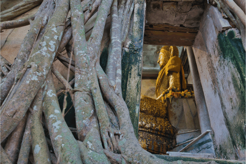 Amphawa & Railway Markets & Firefly Boat Ride: From BKK - Amphawa Floating Market