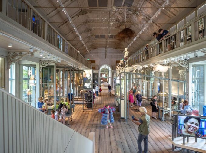 Amsterdam: ARTIS-Groote Museum Entry Ticket - Comparative Anatomy