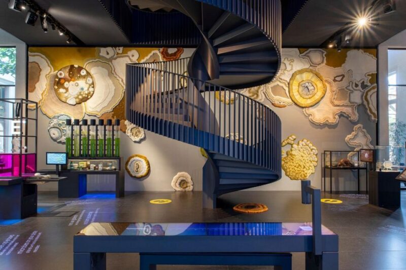 Amsterdam: ARTIS-Micropia Microbe Museum Entry Ticket - Museum Overview