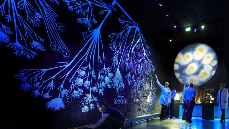 Amsterdam: ARTIS-Micropia Microbe Museum Entry Ticket - Customer Reviews and Ratings