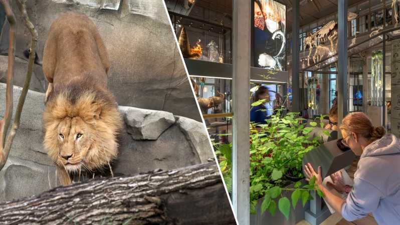 Amsterdam: ARTIS Royal Zoo and ARTIS Groote Museum Ticket - Museum Highlights