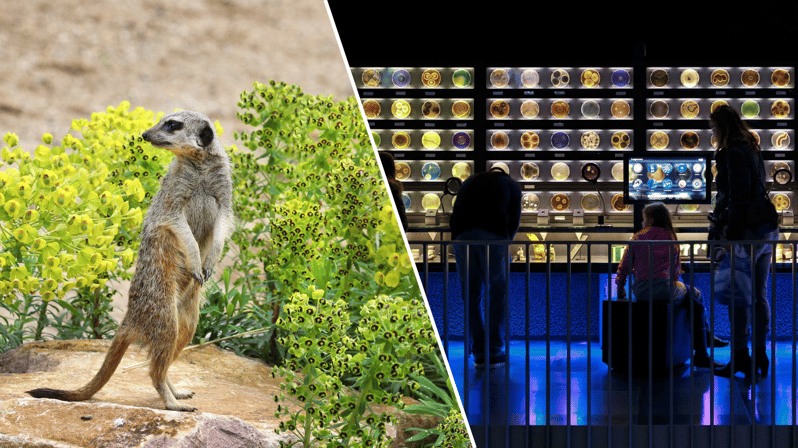 Amsterdam: Artis Royal Zoo & ARTIS-Micropia Combiticket - Directions and Accessibility