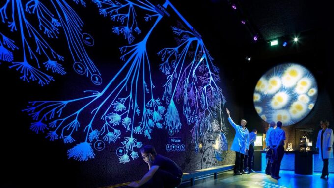 Amsterdam: Artis Royal Zoo & ARTIS-Micropia Combiticket - New Lion Enclosure and Highlights