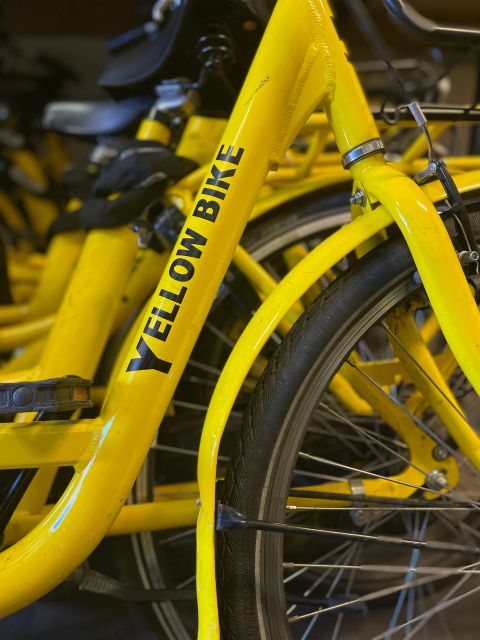 Amsterdam: Bike Rental - Customer Ratings and Feedback