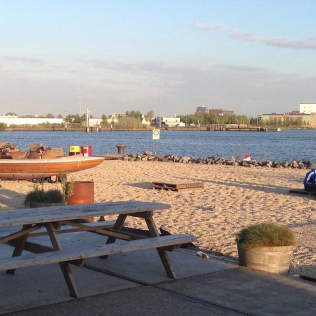 Amsterdam: Bus Day Ticket to Haarlem and Zandvoort (Beach) - Key Points