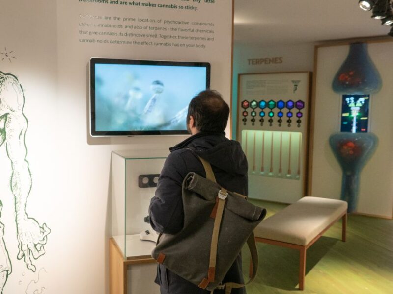 Amsterdam: Cannabis Museum Entry Ticket - Museum Experience and Highlights