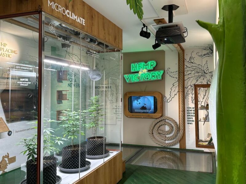 Amsterdam: Cannabis Museum Entry Ticket - Learning and Interactive Exhibitions