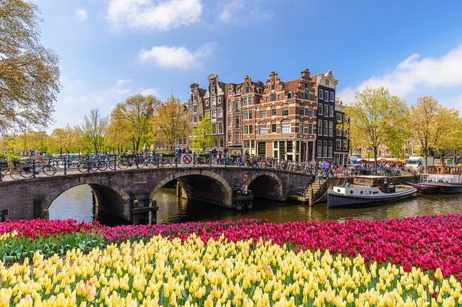 Amsterdam City to Schiphol Airport Transfer - Passenger Accessibility