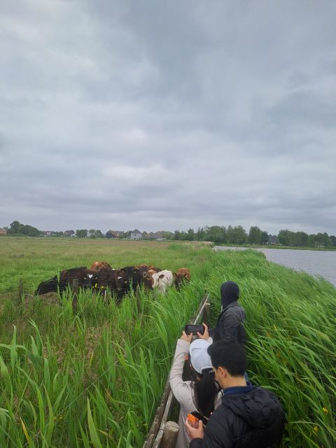 Amsterdam: Countryside Bike and Kayak Guided Tour - Activity Highlights