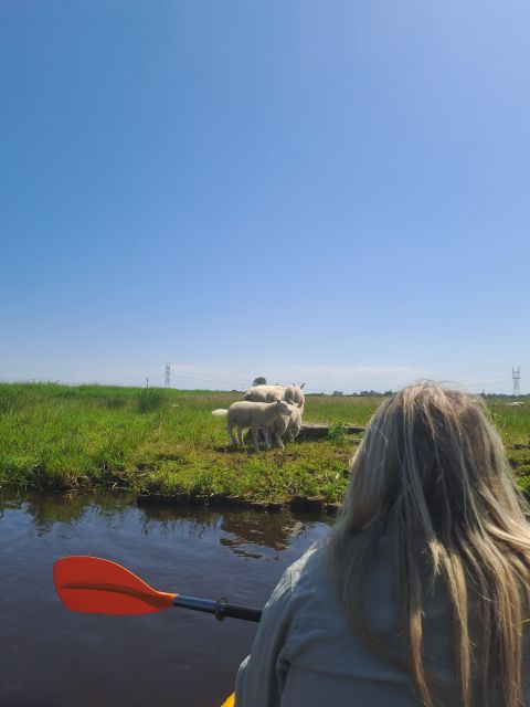 Amsterdam: Countryside Bike and Kayak Guided Tour - Included in Tour