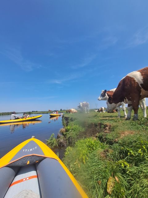 Amsterdam: Countryside Bike and Kayak Guided Tour - Booking and Cancellation