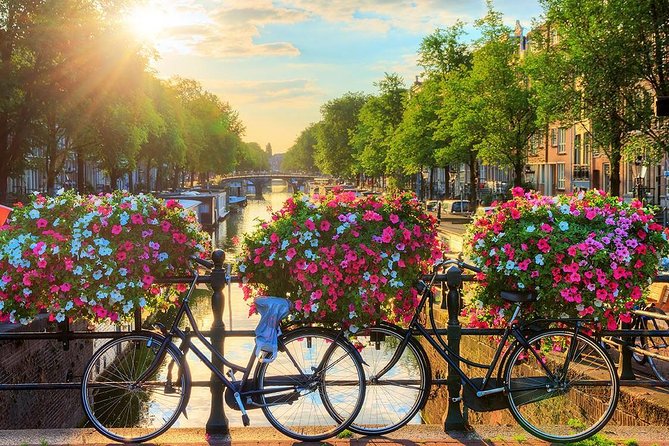 Amsterdam Day Trip From Brussels - Customer Feedback