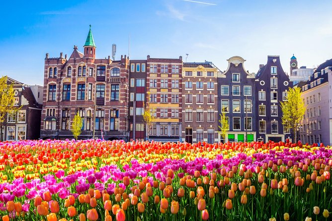Amsterdam Day Trip From Brussels - Free Time Activities