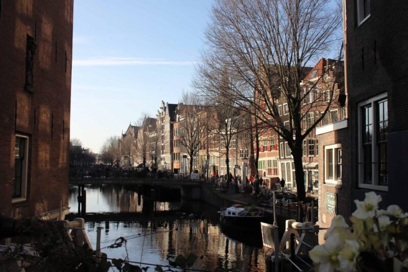 Amsterdam: Discover the Highlights - Accessibility and Restrictions
