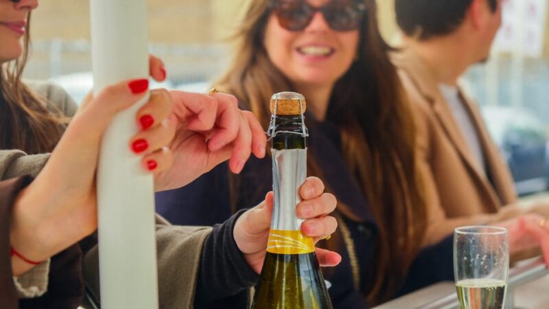 Amsterdam: Dutch Prosecco Party Bike - Inclusions and Features