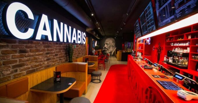 Amsterdam: Guided Ganja Walking Tour of Coffee Shops - Historical and Cultural Significance
